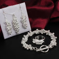 Trauben Armband Halskette Ohrringe Ring Set mit 4