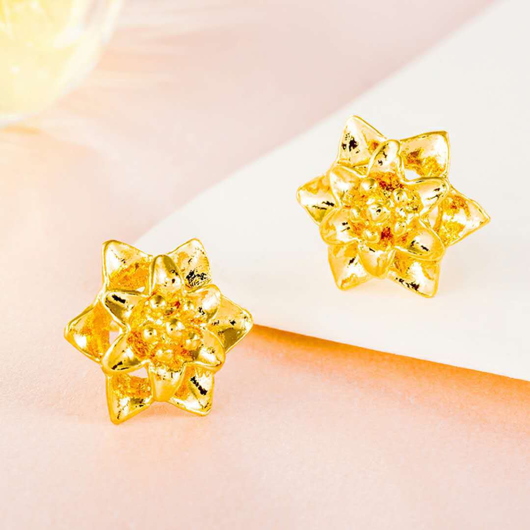 24K vergoldete Ohrringe Euro Gold Schmuck Neue beliebte Ohrringe