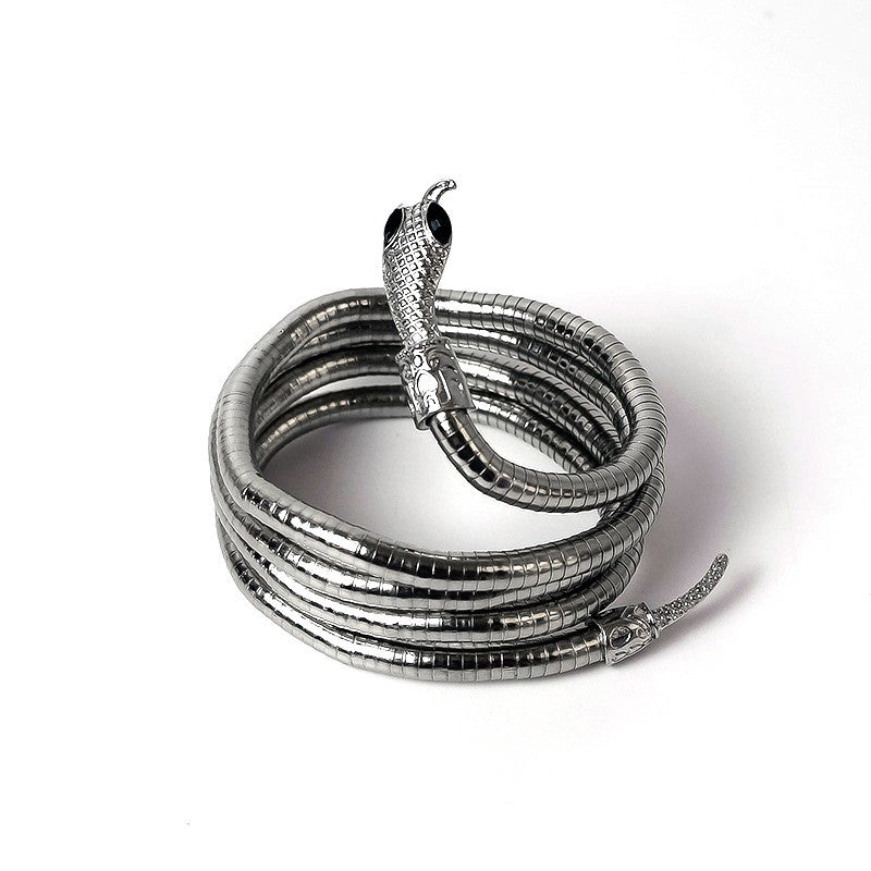 Cadena de hueso de serpiente, modelos para hombre y mujer, apertura oscura, Europa y Estados Unidos, estilo frío, forma aleatoria, collar con diseño de serpiente sinuosa.