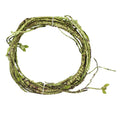 Lizard Chameleon Reptile Box Tropical Rainforest Landscaping Material Simulation Plant Rattan Tree Vine Vine Vine Withered Vine
