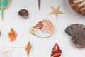 Broche original de paleontología de Daparo, insignia de diseñador, museo, nicho marino, versátil, regalo de San Valentín, joyería