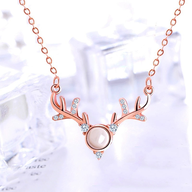 A hundred languages on Valentine's Day