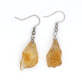 Natural Crystal Unshaped Rough Stone Earrings Earrings