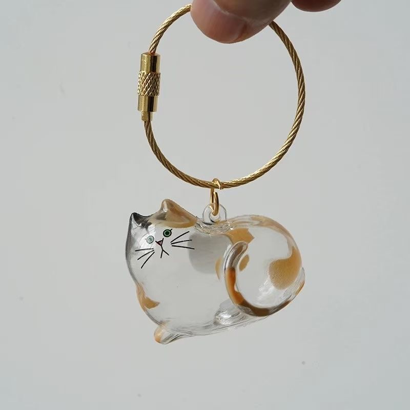 Llavero conmemorativo transparente para guardar pelos de gato
