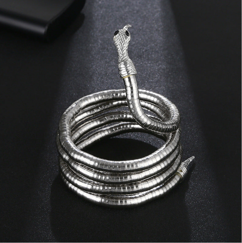 Cadena de hueso de serpiente, modelos para hombre y mujer, apertura oscura, Europa y Estados Unidos, estilo frío, forma aleatoria, collar con diseño de serpiente sinuosa.