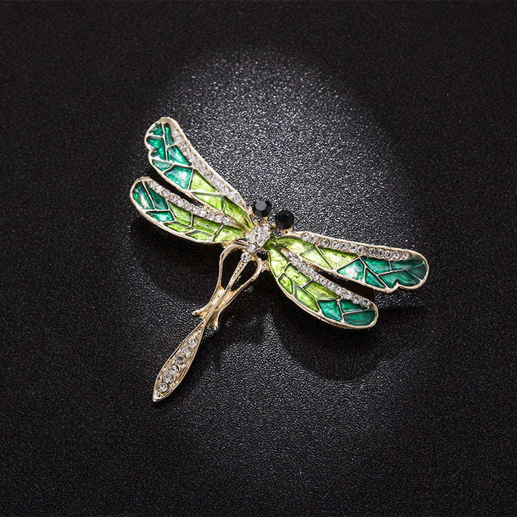 Broche de libélula euroamericana