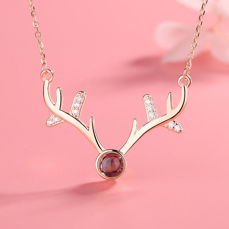 A hundred languages on Valentine's Day