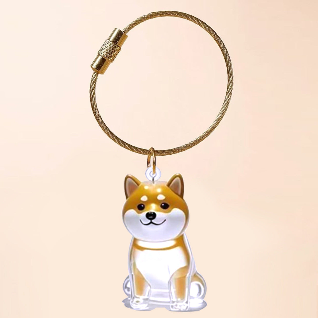 Llavero conmemorativo transparente para guardar pelos de gato