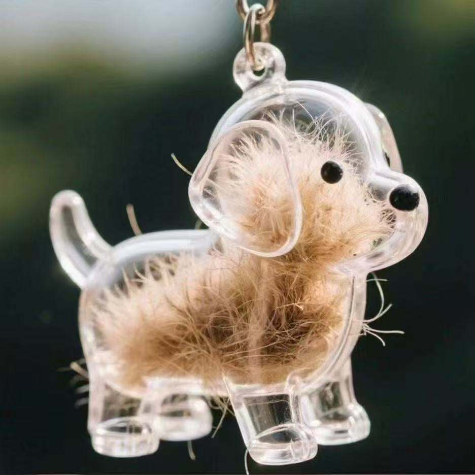 Llavero transparente para almacenamiento de pelo de mascota con colgante de bola peluda