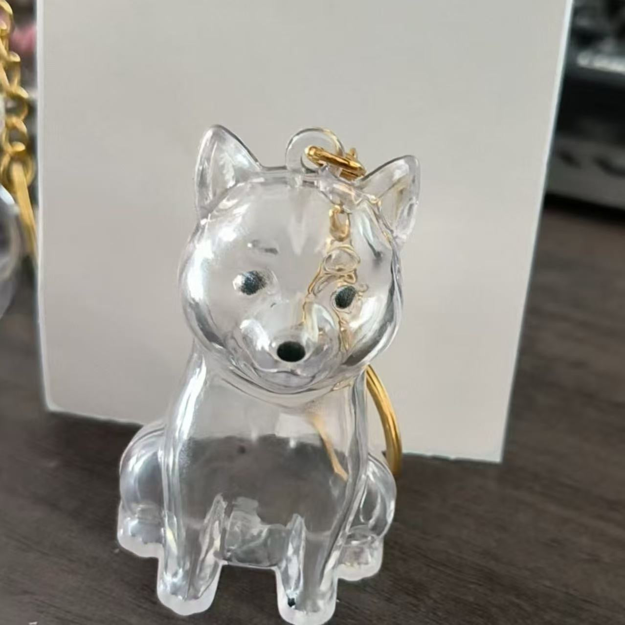 Llavero transparente para almacenamiento de pelo de mascota con colgante de bola peluda