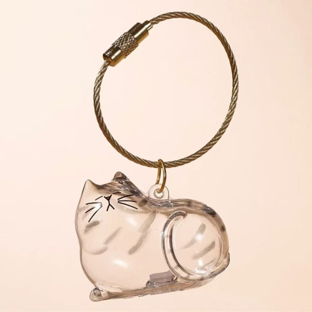 Llavero conmemorativo transparente para guardar pelos de gato