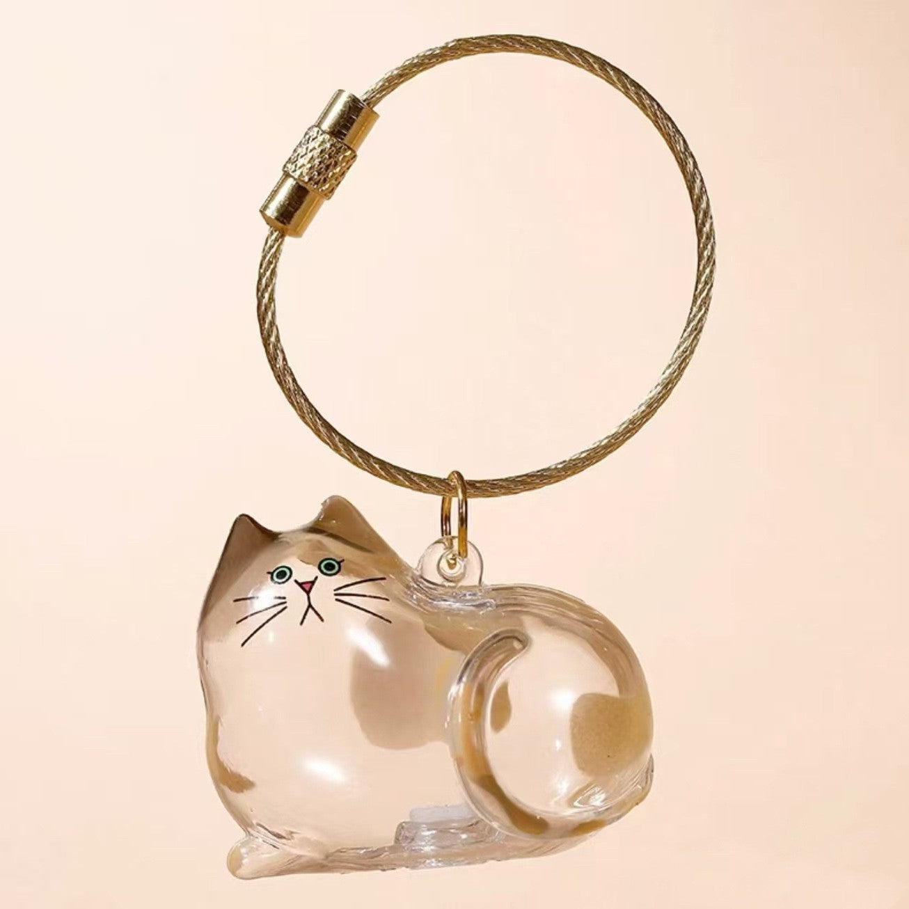 Llavero conmemorativo transparente para guardar pelos de gato