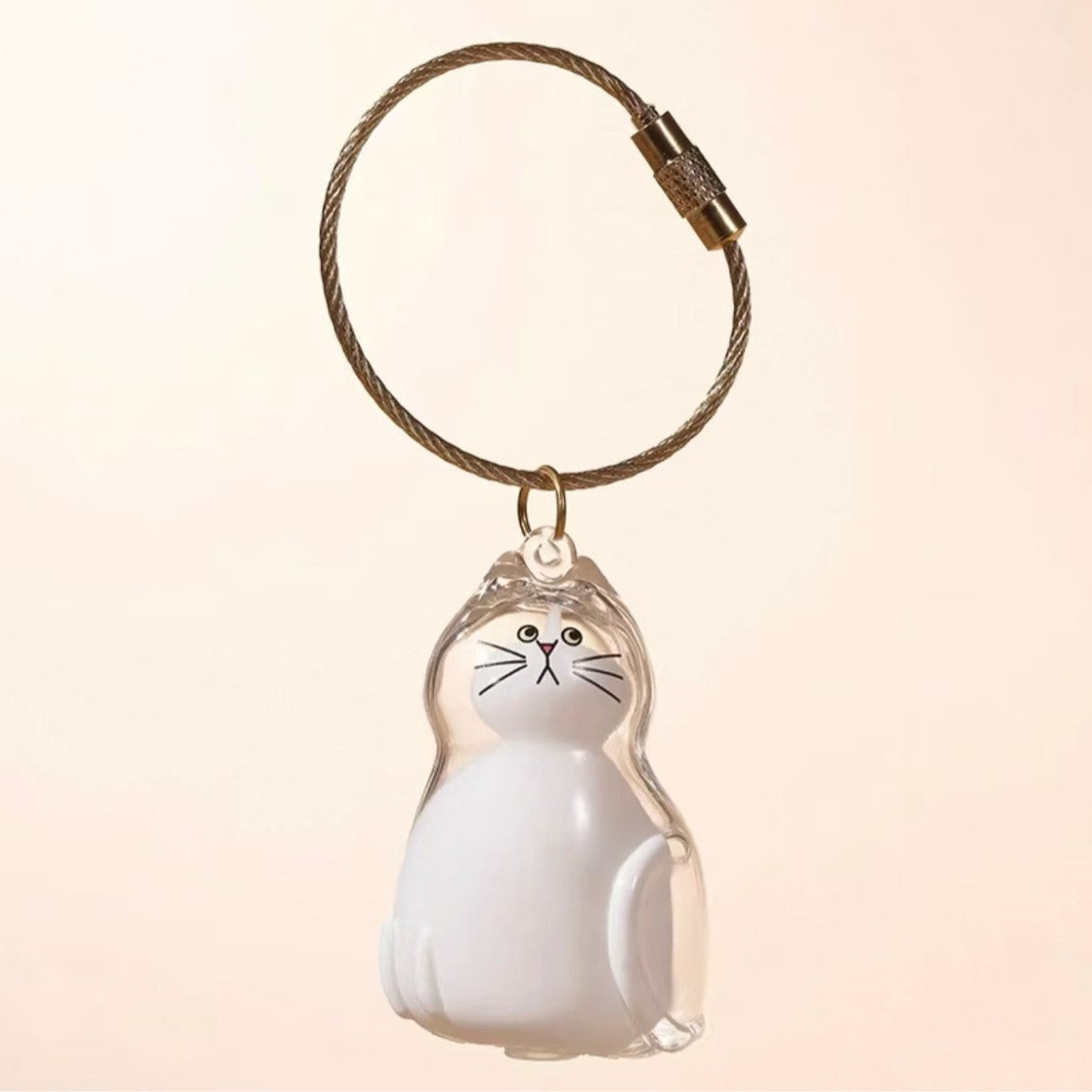 Llavero conmemorativo transparente para guardar pelos de gato