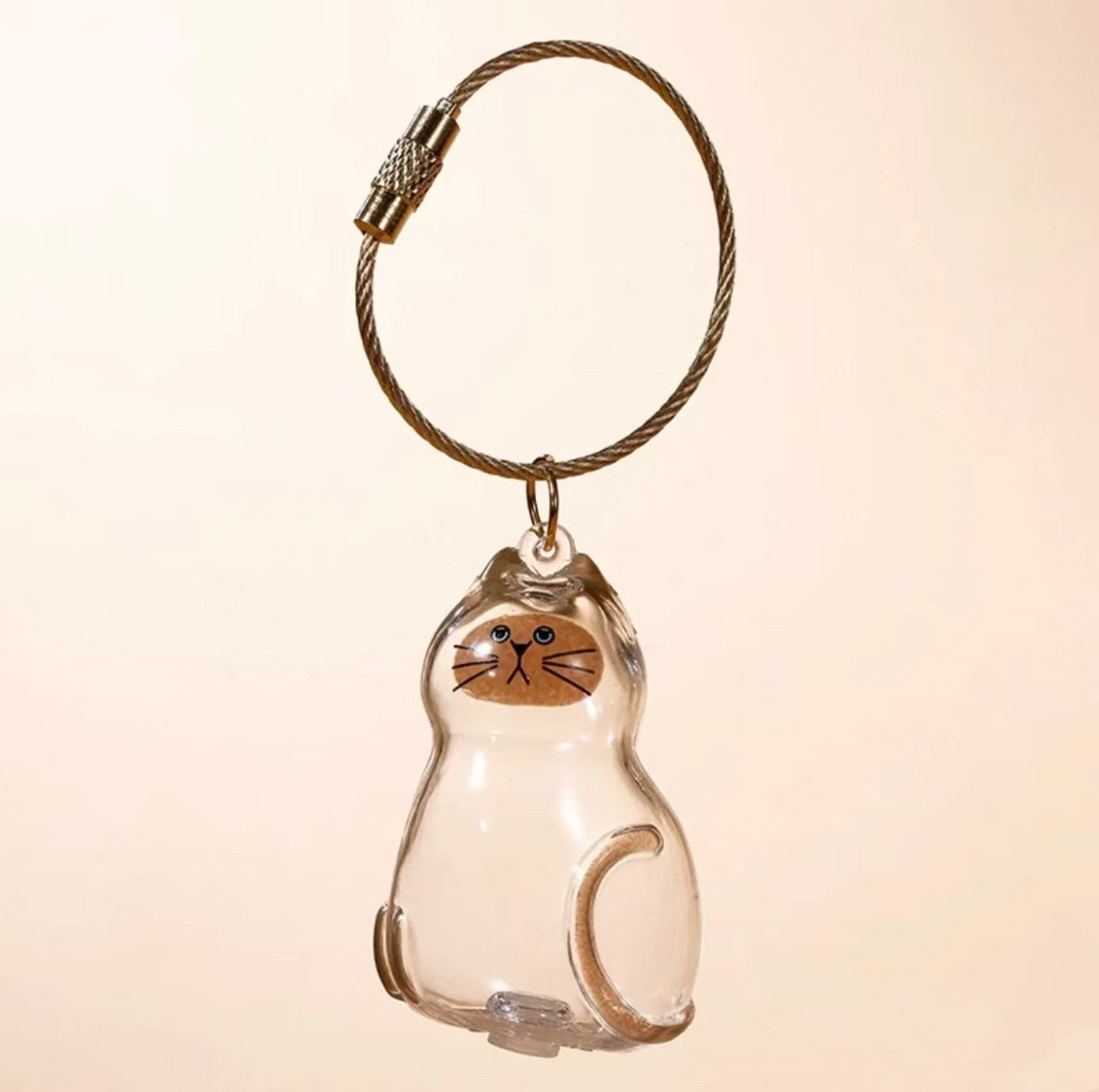 Llavero conmemorativo transparente para guardar pelos de gato