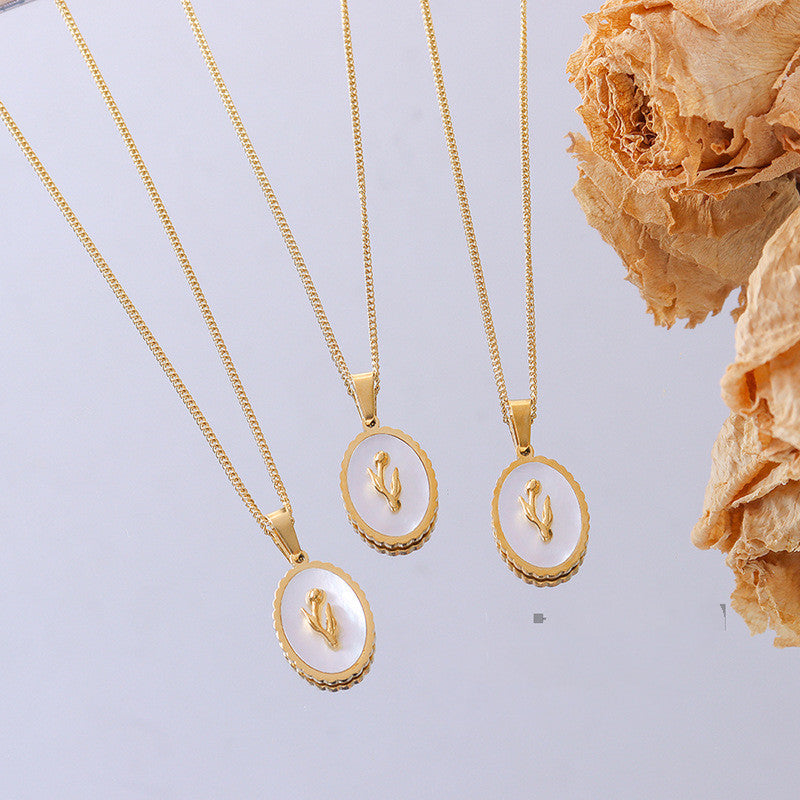 Collar de oro de 18 quilates chapado en oro con concha marina blanca