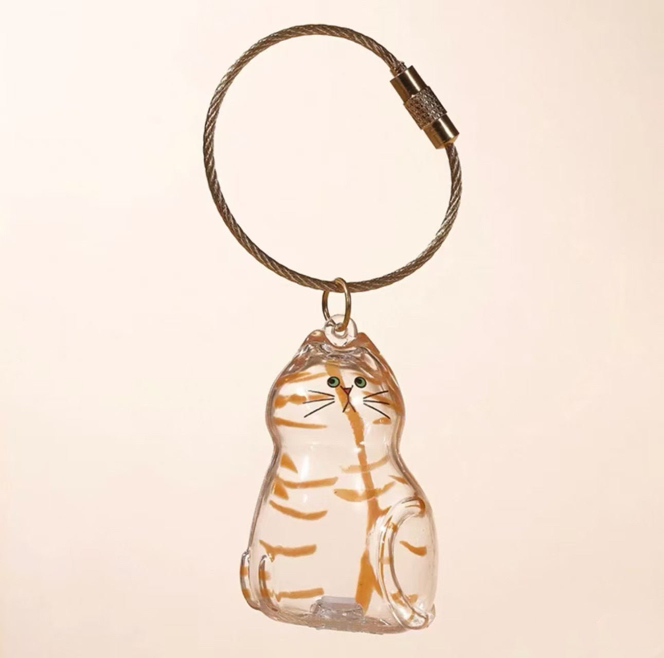 Llavero conmemorativo transparente para guardar pelos de gato