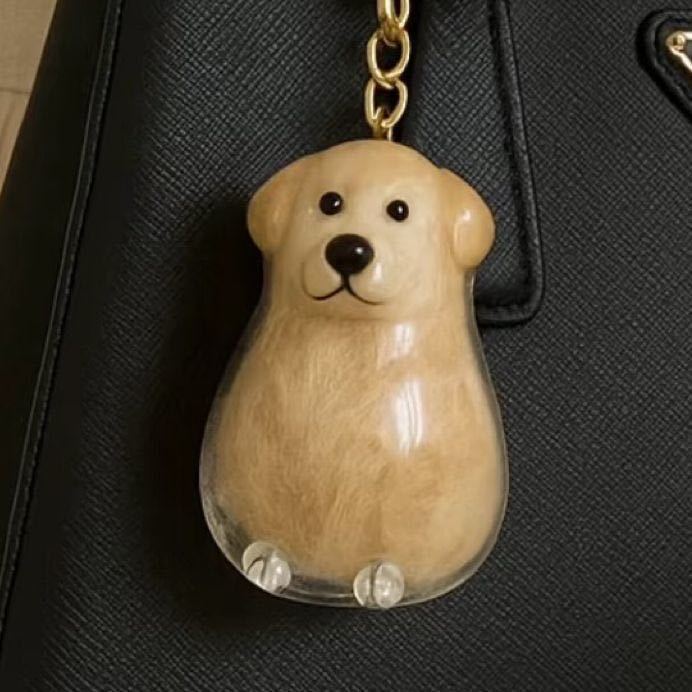 Llavero transparente para almacenamiento de pelo de mascota con colgante de bola peluda