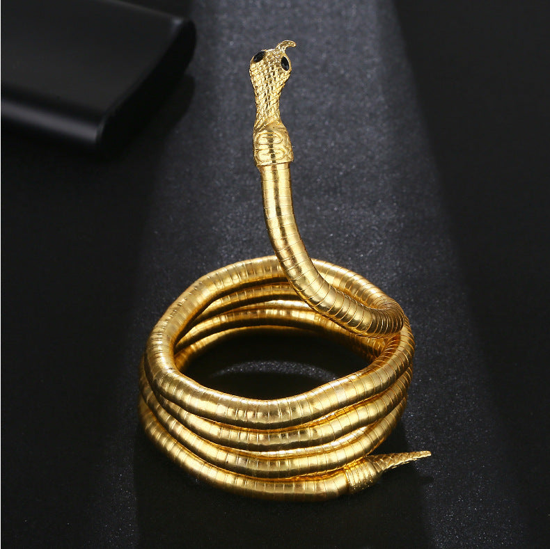 Cadena de hueso de serpiente, modelos para hombre y mujer, apertura oscura, Europa y Estados Unidos, estilo frío, forma aleatoria, collar con diseño de serpiente sinuosa.