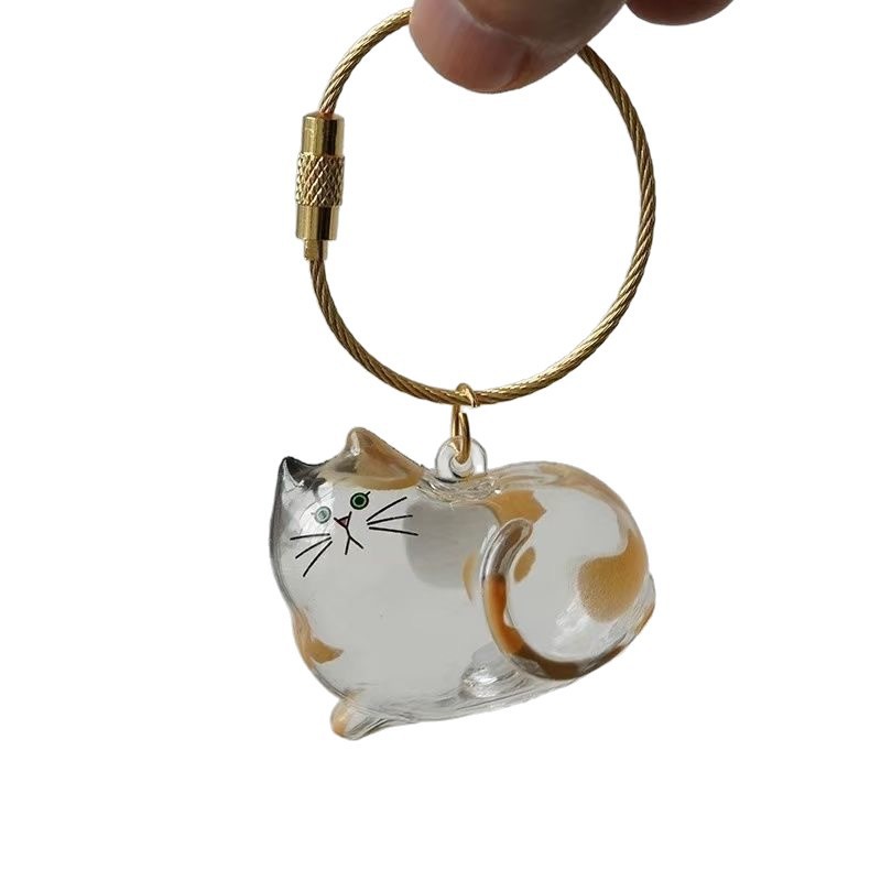 Llavero conmemorativo transparente para guardar pelos de gato